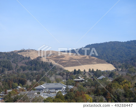 奈良市區 49288447