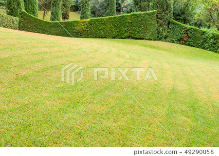 Beautiful landscape with exactly trimmed grass and Beautiful landscape with exactly trimmed grass and 49290058