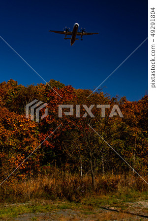 Autumn leaves and airplanes 49291804