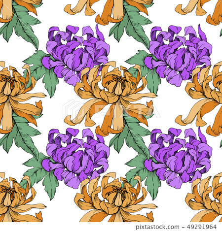 Vector Chrysanthemum floral botanical flowers. Engraved ink art. Seamless background pattern. Vector Chrysanthemum floral botanical flowers. Engraved ink art. Seamless background pattern. 49291964