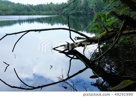 Shirakoma Pond：North Yatsugatake South Sakugun Sakuhocho 49291999