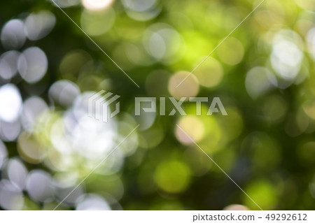 Background and bokeh. Background and bokeh. 49292612