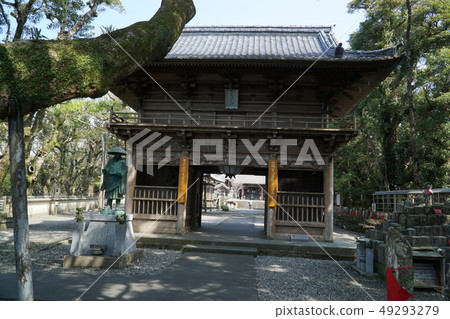 [Shikoku 88 Temples] No. 24, Atsumisakiji Temple, Sunlight filtering through the trees and Niomon Gate, Muroto City, Kochi Prefecture 49293279