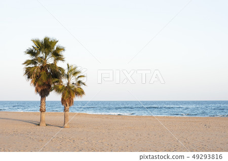 a calm beach in the mediterranean sea. a calm beach in the mediterranean sea. 49293816