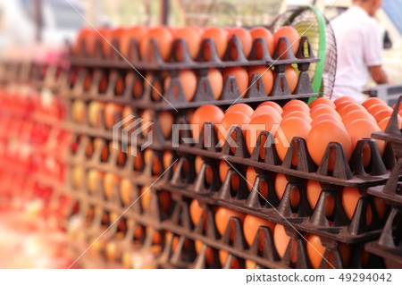 Hen egg in the market 49294042