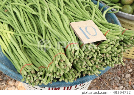 Long beans at market 49294752