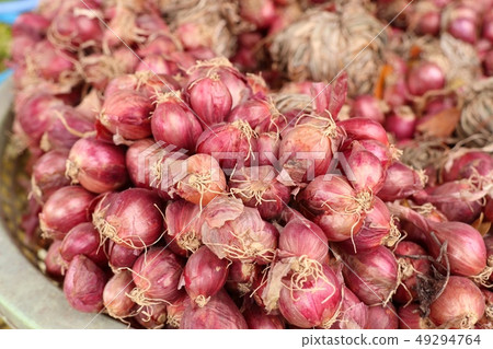 Shallots at the market 49294764