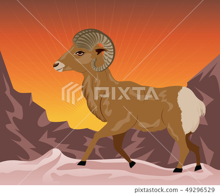 Wild Ram in the Mountains Wild Ram in the Mountains 49296529