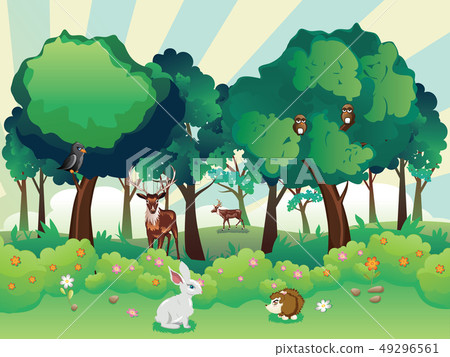 Summer Forest and Animals Summer Forest and Animals 49296561