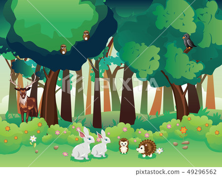 Summer Forest and Animals Summer Forest and Animals 49296562