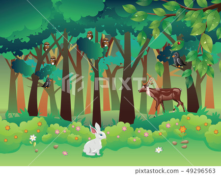 Summer Forest and Animals Summer Forest and Animals 49296563