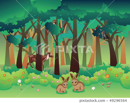 Summer Forest and Animals 49296564