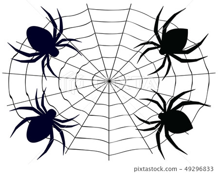 Cartoon Spider