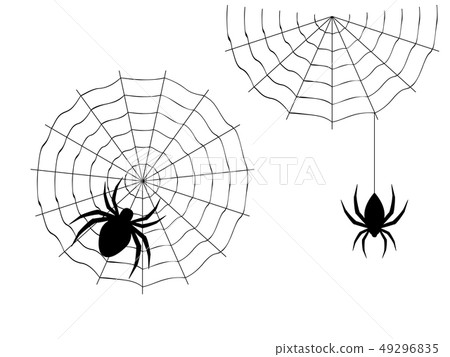Cartoon Spider Cartoon Spider 49296835