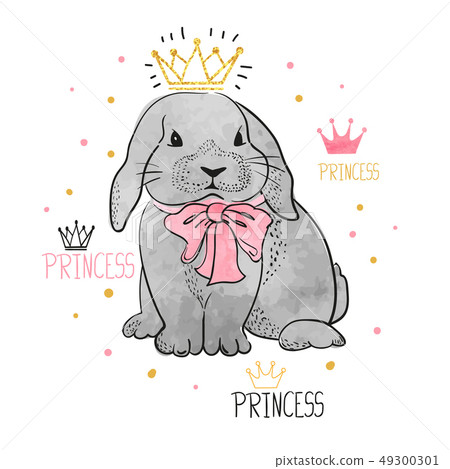 Cute little princess rabbit. Cute little princess rabbit. 49300301