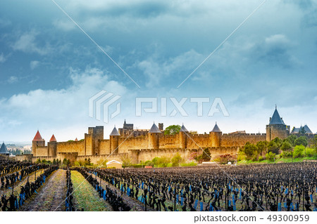 View of the medieval city of Carcassonne from a View of the medieval city of Carcassonne from a 49300959