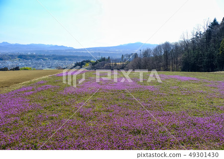 Hotokenosa field and Mt. Akagi 1 Hotokenosa field and Mt. Akagi 1 49301430