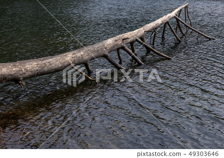 Fukaya dam Z2 49303646