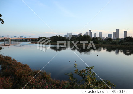 從多摩河景觀 49303761