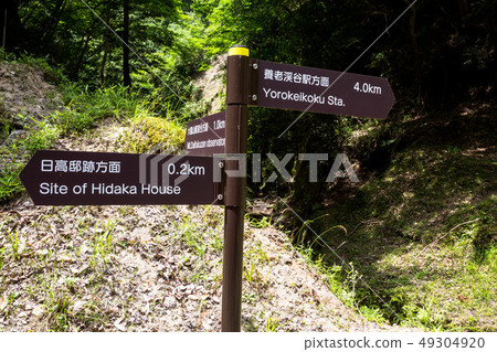 The fresh green is shining・The valley, the green, the sky, and the trees The fresh green is shining・The valley, the green, the sky, and the trees 49304920