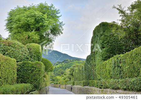 龜武士住宅小組 49305461