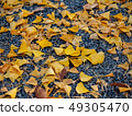 秋天的落葉 49305470