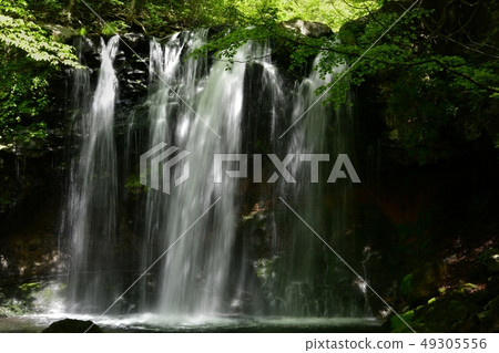 新鮮的綠色那須高地乙女瀑布 新鮮的綠色那須高地乙女瀑布 49305556