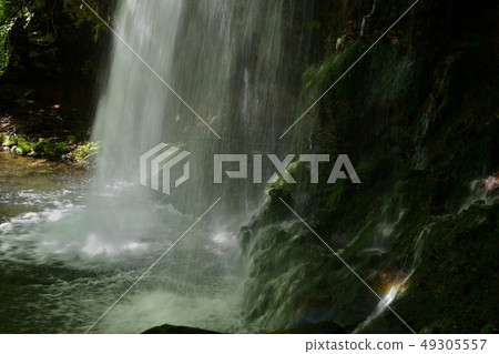 Fresh green Nasu highland Otome waterfall 49305557