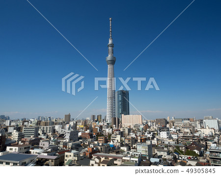 Tokyo Sky Tree and residential area 49305845