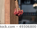 cockscomb 49306800