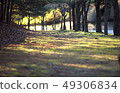spring 49306834