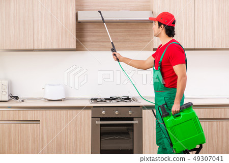 Professional contractor doing pest control at kitchen 49307041