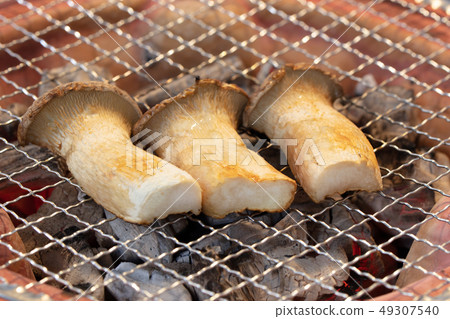 Charcoal-grilled mushrooms (charcoal grilled, grilled grilled, seven rings, one person, home drinking, barbecue, BBQ, grilled meat) Charcoal-grilled mushrooms (charcoal grilled, grilled grilled, seven rings, one person, home drinking, barbecue, BBQ, grilled meat) 49307540