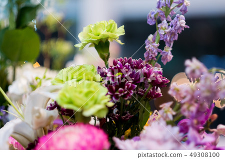 selective focus flower. selective focus flower. 49308100