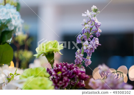 selective focus flower. selective focus flower. 49308102