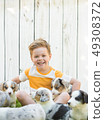 Little boy and corgi puppies 49308372