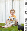 Little boy and corgi puppies 49308383