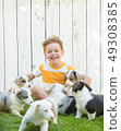 Little boy and corgi puppies 49308385