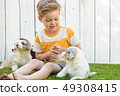 Little boy and corgi puppies 49308415