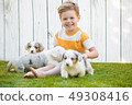 Little boy and corgi puppies 49308416