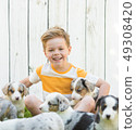 Little boy and corgi puppies 49308420