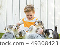 Little boy and corgi puppies 49308423