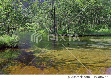 Kamikochi Kamikochi 49308736