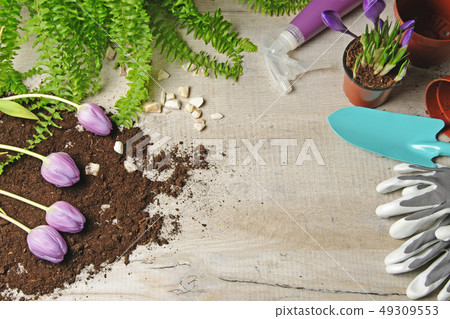 Spring gardening background. Spring gardening background. 49309553