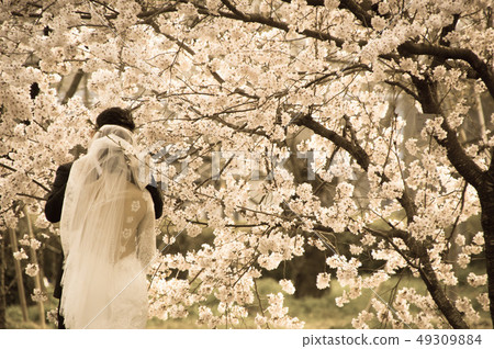 wedding image 49309884