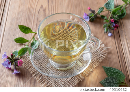 Herbal tea with fresh lungwort flowers 49310682