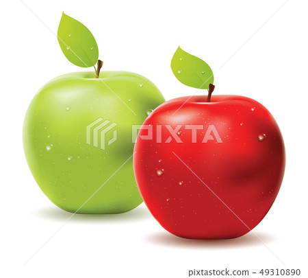 Green apple and red apple Green apple and red apple 49310890