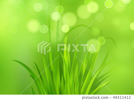 Frash Spring green grass background. Vector illustration 49311412