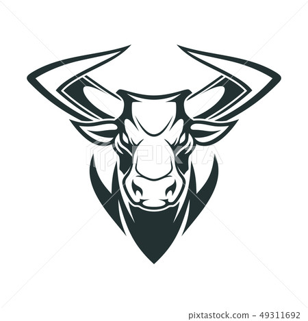 Bull head vector Bull head vector 49311692