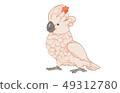 Heartbot 49312780